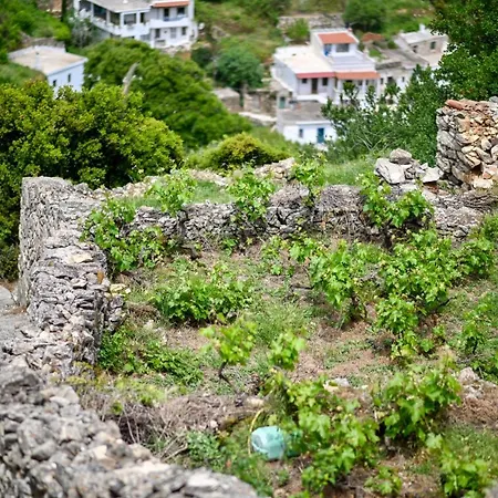 Mespilus House * Koronos