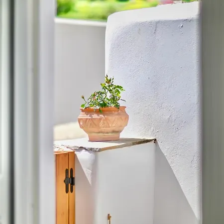 Mespilus House Apartment