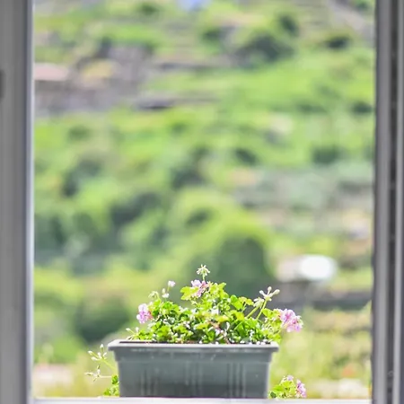 Appartement Mespilus House *
