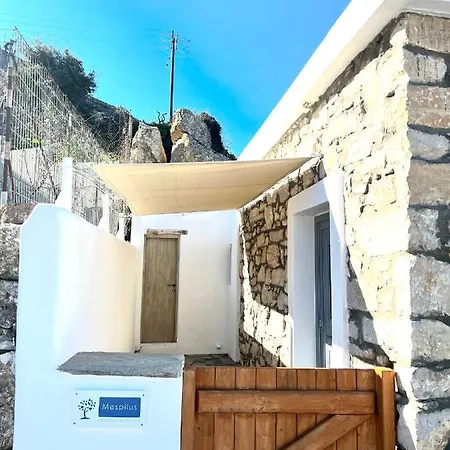 Mespilus House Apartment Koronos